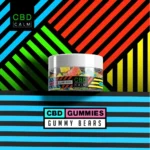 CBD Calm 600mg Sour Bears Gummies - Image 2