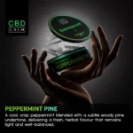 Cannapouch 50mg Peppermint Pine CBD Pouches CBD Calm - Image 2