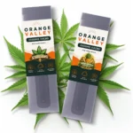 H4CBD Pod Pen 1000 Puffs 2x1ml 2000mg