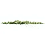 Multi Cannabinoid Herbal Blend 50% ERBZ LA Cheese MAX - Image 4